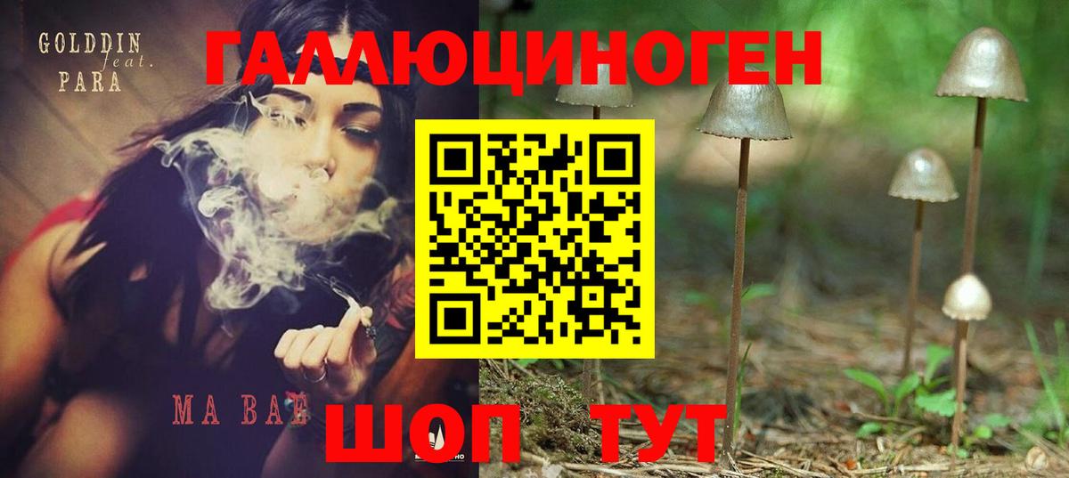 Галлюциногенные грибы ЛСД  Вход с VPN  Кинешма  Галлюциногенные грибы мицелий 